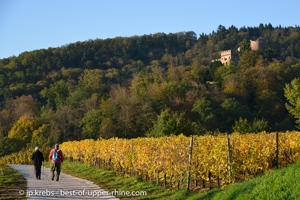 A quelques minutes autour de notre village de La Vancelle, un paradis pour les randonneurs de tous ges, entre vignoble et montagne